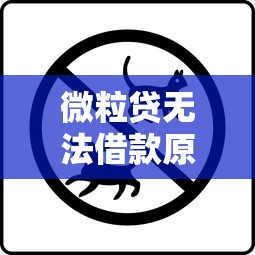 微粒貸無(wú)法借款原因有哪些？這幾點(diǎn)你可能沒(méi)注意