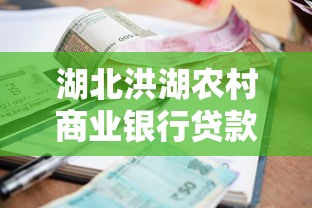 湖北洪湖農(nóng)村商業(yè)銀行貸款申請(qǐng)指南：資料+利率+流程解析
