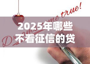 2025年哪些不看征信的貸款還能申請？真實經(jīng)驗分享