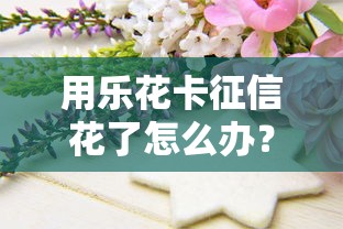 用樂花卡征信花了怎么辦？教你3招補救技巧