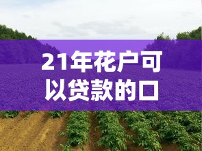 21年花戶可以貸款的口子有哪些？實(shí)測這幾個(gè)平臺還能下款
