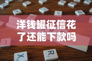 洋錢罐征信花了還能下款嗎？真實(shí)經(jīng)驗(yàn)分享