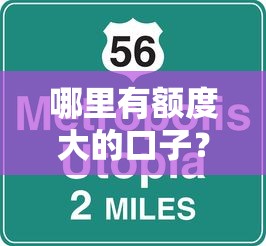 哪里有額度大的口子？高額度正規平臺精選測評