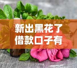 新出黑花了借款口子有哪些？這3個低門檻方案實測有效