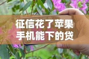 征信花了蘋果手機能下的貸款口子實測分享