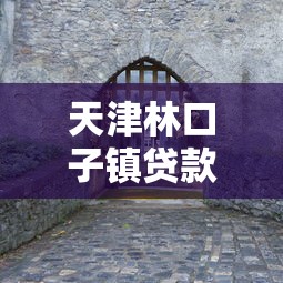 天津林口子鎮(zhèn)貸款平臺推薦及所屬區(qū)解析