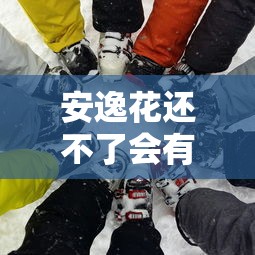 安逸花還不了會有什么后果？這些坑你踩過嗎