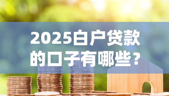 2025白戶貸款的口子有哪些？新手必看的低門檻申請攻略