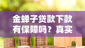 金蟬子貸款下款有保障嗎？真實(shí)用戶經(jīng)歷+風(fēng)控細(xì)節(jié)全解析