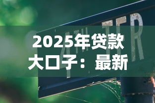 2025年貸款大口子：最新低息平臺及避坑指南