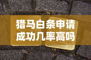 2025年金寶林借錢？羅列5個(gè)不征信和大數(shù)據(jù)的短期網(wǎng)貸適合58歲的平臺(tái)
