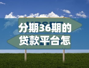 分期36期的貸款平臺怎么選？5家實測靠譜平臺橫向對比