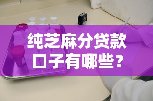 純芝麻分貸款口子有哪些？實測5個靠譜平臺