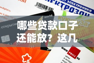 哪些貸款口子還能放？這幾個渠道審核快、額度高