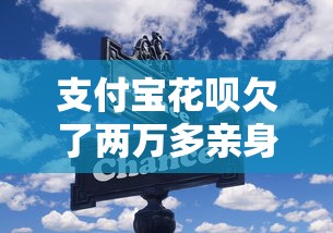支付寶花唄欠了兩萬多親身經(jīng)歷，這些方法讓我輕松上岸