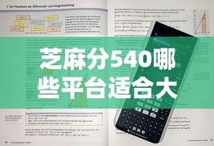 芝麻分540哪些平臺(tái)適合大額消費(fèi)借款？實(shí)測(cè)這5家通過率高