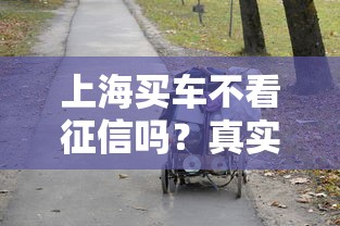 上海買車不看征信嗎？真實情況讓人意外！