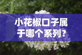 小花椒口子屬于哪個系列？實測后發現這幾點必須知道