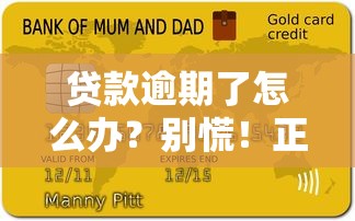 貸款逾期了怎么辦？別慌！正確處理方式+補救技巧全解析
