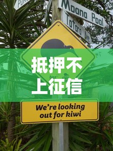 抵押不上征信會怎樣？這三點風(fēng)險你必須知道