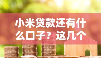 小米貸款還有什么口子？這幾個(gè)靠譜平臺(tái)也能解燃眉之急