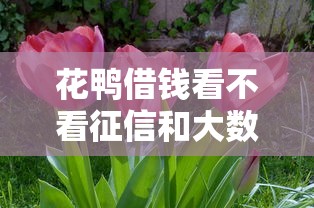 花鴨借錢看不看征信和大數據？用戶實測：這3點審核細節最關鍵