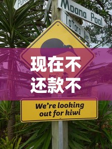 現(xiàn)在不還款不上征信怎么辦？這5個隱藏風險必須警惕