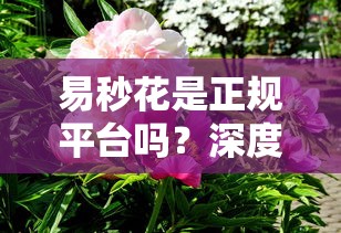 易秒花是正規平臺嗎？深度分析+避坑經驗分享