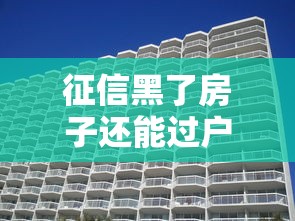 征信黑了房子還能過戶嗎？過戶流程+解決方案全解析