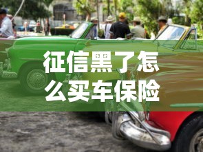征信黑了怎么買車保險(xiǎn)？這5招幫你輕松解決難題