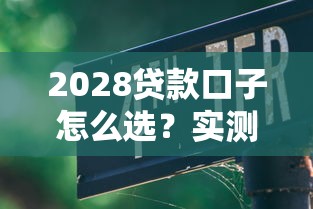 2028貸款口子怎么選？實測5大平臺避坑指南