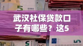 武漢社保貸款口子有哪些？這5個靠譜渠道輕松解決資金難題