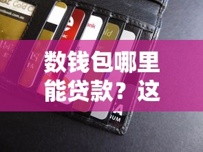 數(shù)錢包哪里能貸款？這5個口子親測有效！