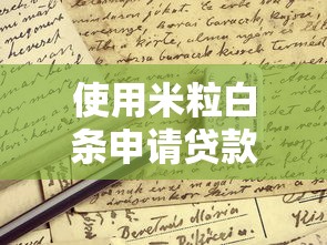 使用米粒白條申請貸款全流程解析：這些細節不注意可能被拒批
