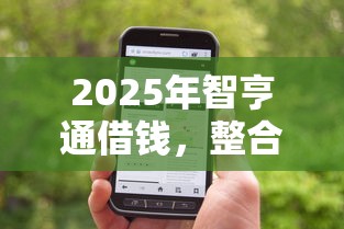 2025年智亨通借錢，整合五個征信花了網貸平臺哪些好下款