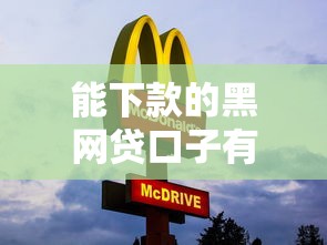 能下款的黑網(wǎng)貸口子有哪些？這幾個(gè)平臺(tái)審核快、放款穩(wěn)
