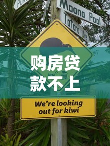 購房貸款不上征信嗎？這3類情況要注意，別讓征信拖后腿！